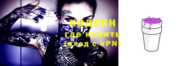 молекула духа Заводоуковск