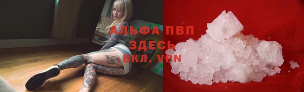 амф Заволжье