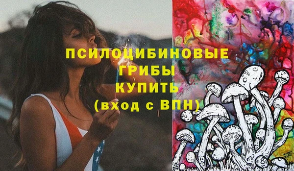 молекула духа Заводоуковск