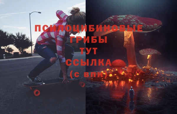 молекула духа Заводоуковск