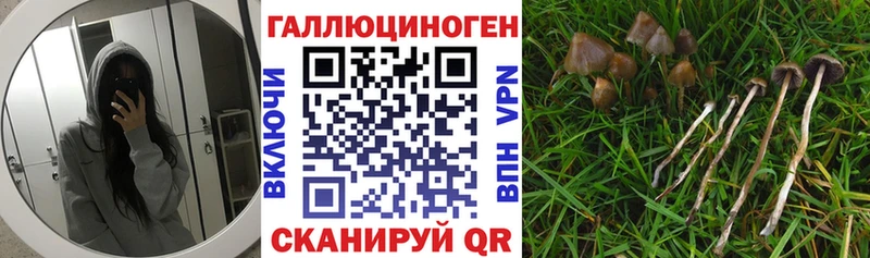 Псилоцибиновые грибы мухоморы  Купить  Рассказово 